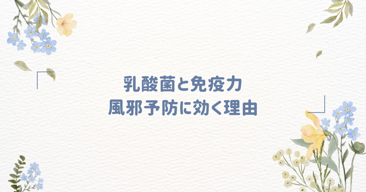 乳酸菌と免疫力：風邪予防に効く理由